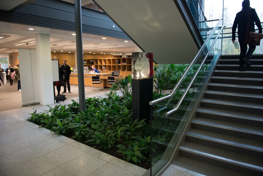 Blown glass installation